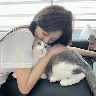 虐会